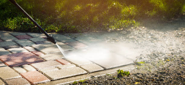 Best Fence Cleaning  in Rayville, LA